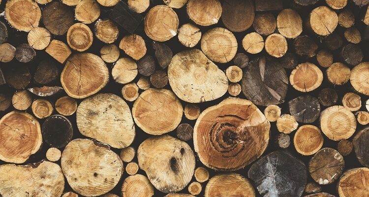 Order Bulk Firewood from Home Without Compromising With Quality