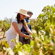 Visit Hunter Valley