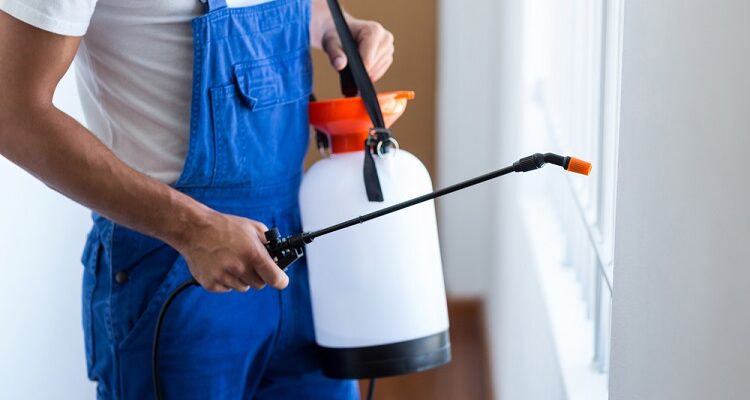 pest control