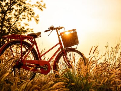 Art of Cycling