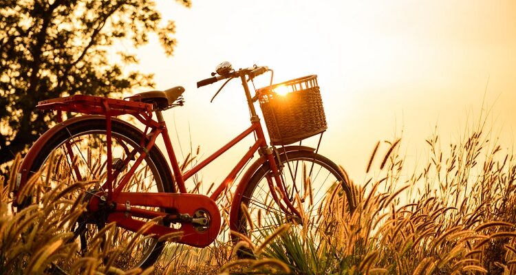 Art of Cycling
