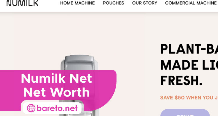 Numilk Net Worth