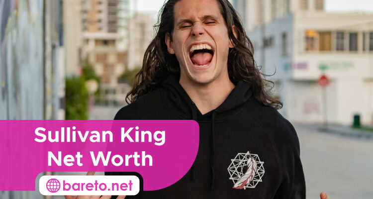 Sullivan King