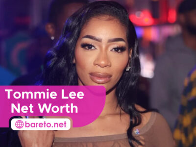 Tommie Lee Net Worth