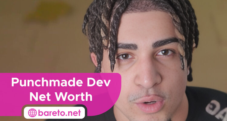 Punchmade Dev Net Worth
