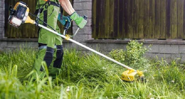 Lawn Care
