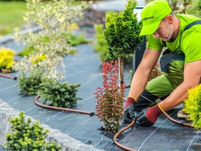Landscape Services