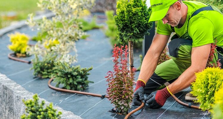 Landscape Services